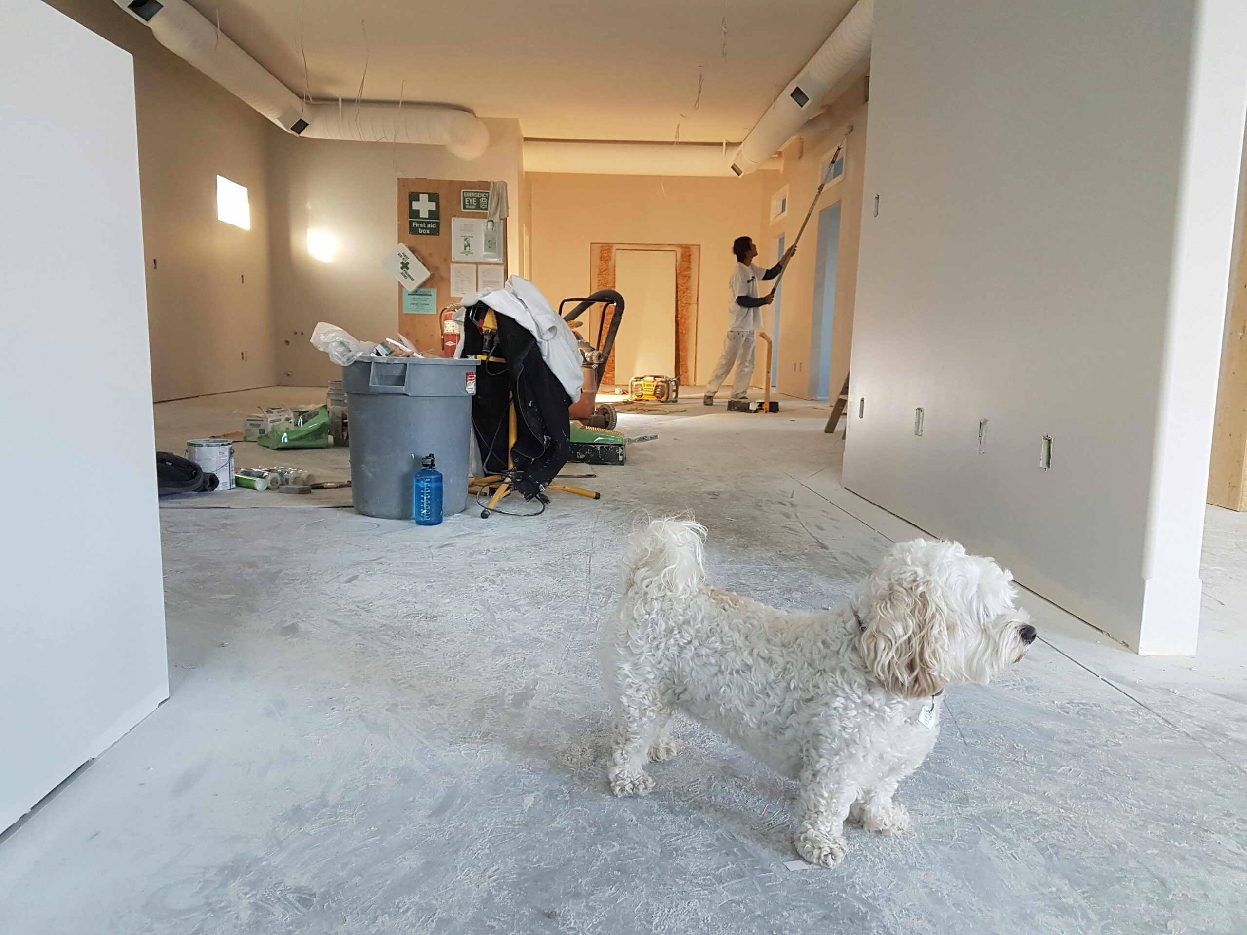 Construction Process of renovating a basement