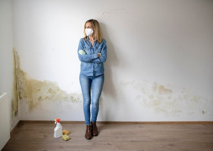 Tips to Prevent Basement Dampness and Mold Growth