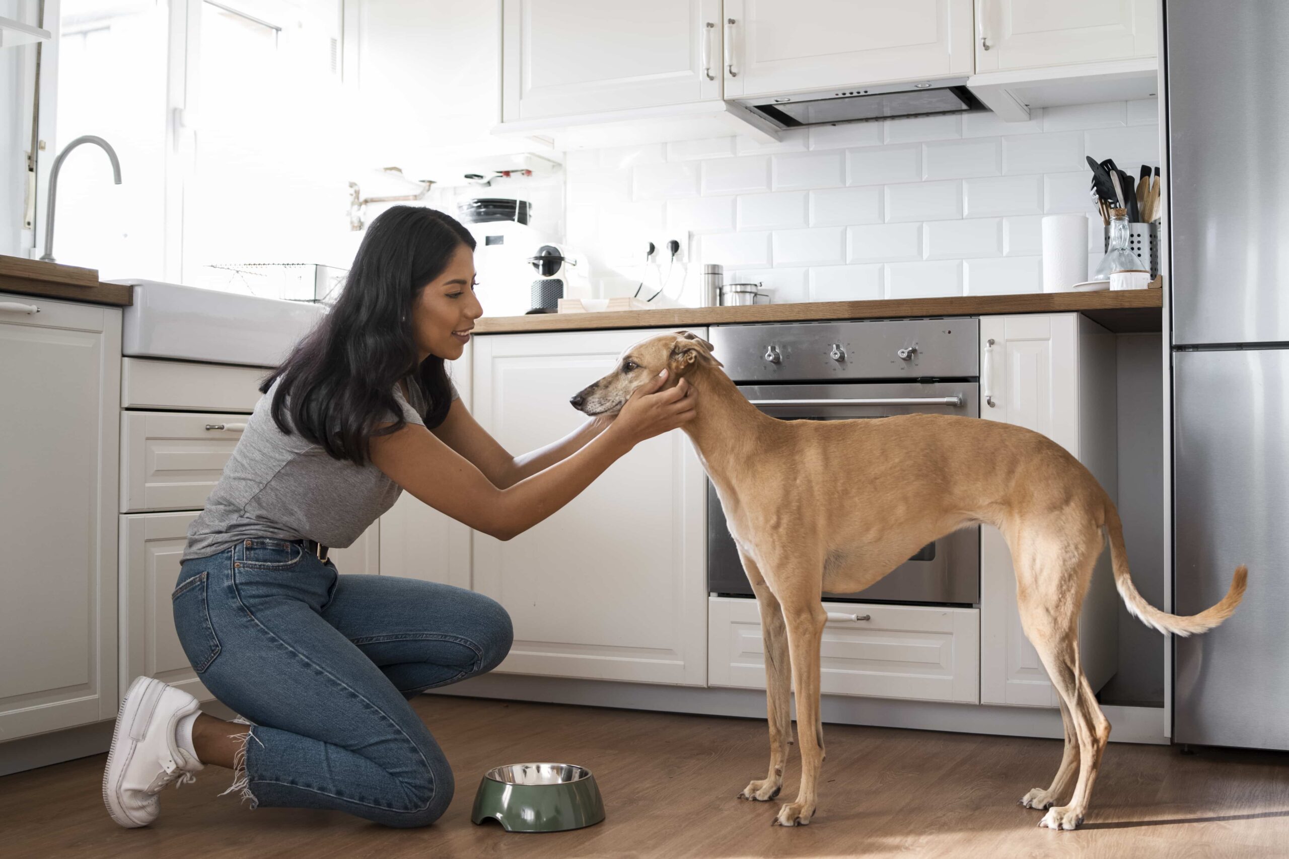 Use Pet-Proof Flooring